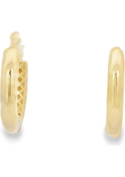 Taşsız Küpe 14 Ayar Altın 2.44 gr OA-C1TB01029283 fiyatları