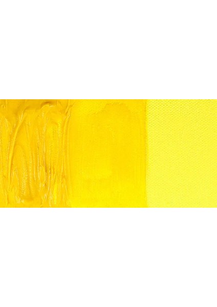 Mediterraneo 60ML Yağlı Boya NO:089 Damascus Yellow