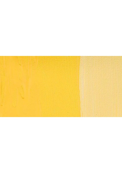 Graduate Akrilik Boya 120ML Naples Yellow (634)