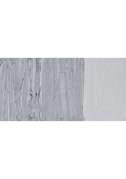 Classico 60ML Yağlı Boya 003 Silver