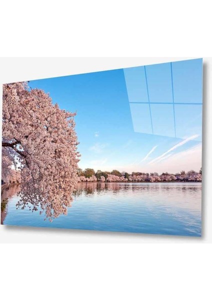 Doğa Cam Tablo 4mm Dayanıklı Temperli Cam