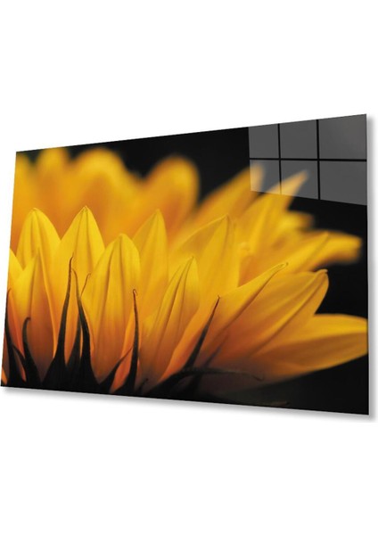 Ay Çiçeği Günebakan 4mm Dayanıklı Cam Tablo Temperli Cam , Sunflower Glass Wall Art