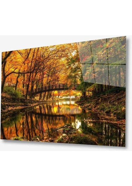 Doğa Cam Tablo 4mm Dayanıklı Temperli Cam