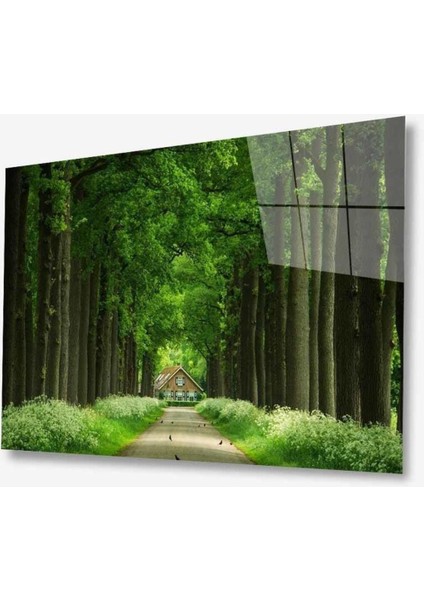 Doğa Cam Tablo 4mm Dayanıklı Temperli Cam