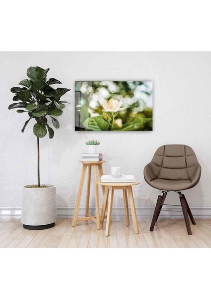 Çiçek Cam Tablo 4mm Dayanıklı Temperli Cam White Flower Glass Wall Art fiyatları