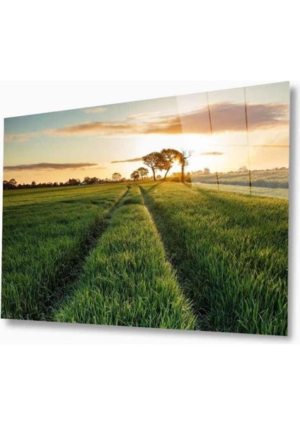 Doğa Cam Tablo 4mm Dayanıklı Temperli Cam