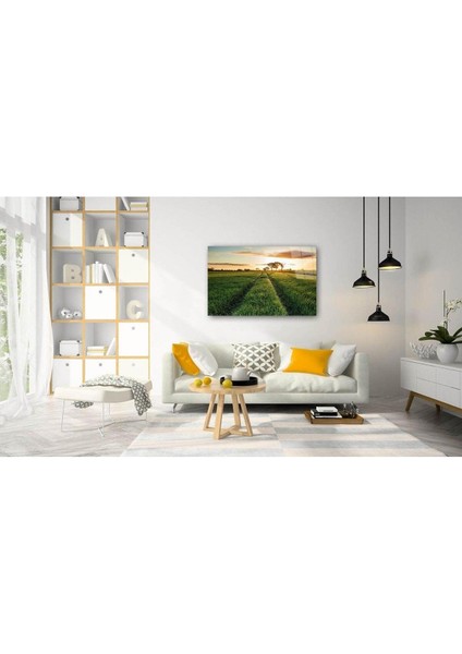 Doğa Cam Tablo 4mm Dayanıklı Temperli Cam fiyatları