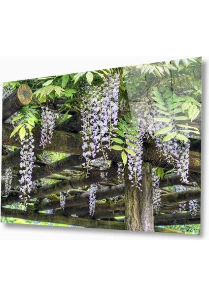 Doğa Cam Tablo 4mm Dayanıklı Temperli Cam