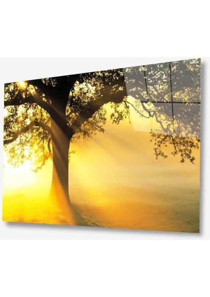 Doğa Cam Tablo 4mm Dayanıklı Temperli Cam