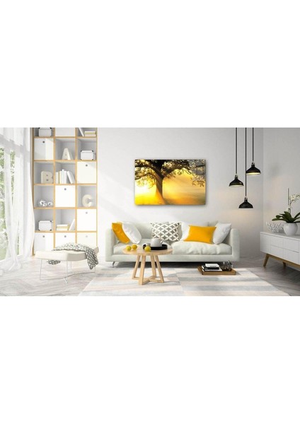 Doğa Cam Tablo 4mm Dayanıklı Temperli Cam fiyatları