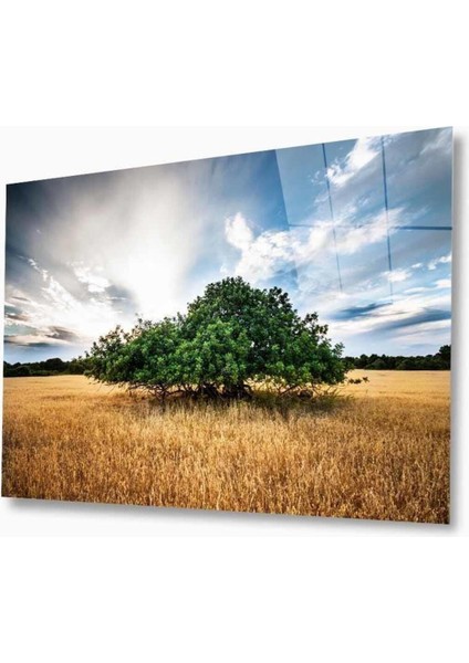 Doğa Cam Tablo 4mm Dayanıklı Temperli Cam