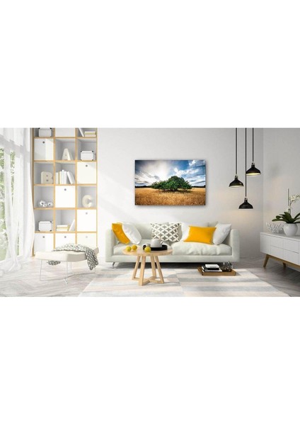 Doğa Cam Tablo 4mm Dayanıklı Temperli Cam fiyatları