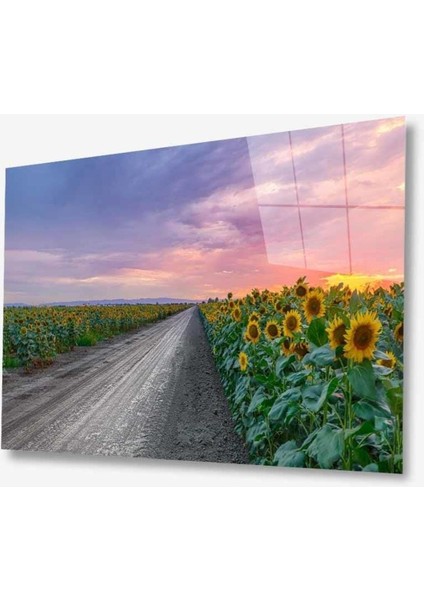 Doğa Cam Tablo 4mm Dayanıklı Temperli Cam