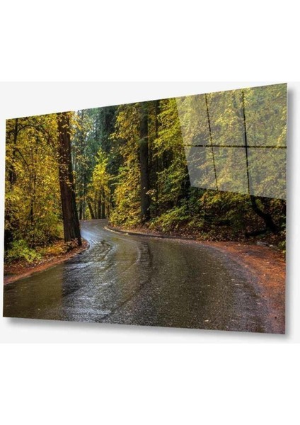 Doğa Cam Tablo 4mm Dayanıklı Temperli Cam