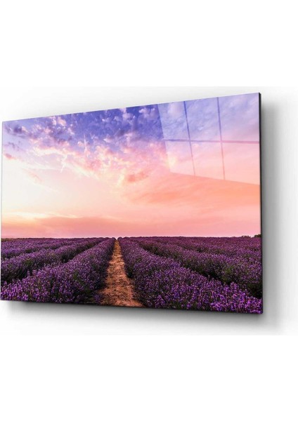 Doğa Cam Tablo 4mm Dayanıklı Temperli Cam