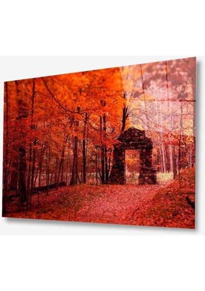 Doğa Cam Tablo 4mm Dayanıklı Temperli Cam