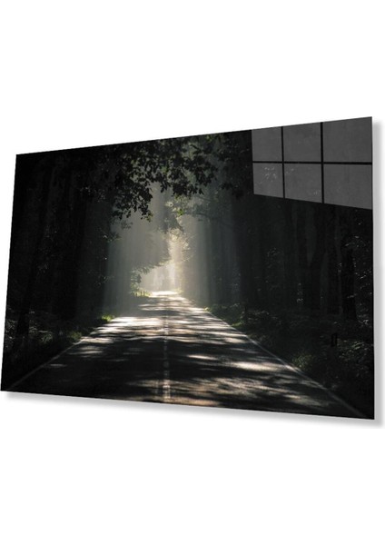 Ağaçlı Yol Cam Tablo 4mm Dayanıklı Temperli Cam Parkway Glass Wall Art