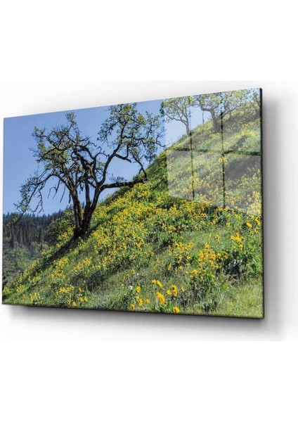 Doğa Temperli Cam Tablo