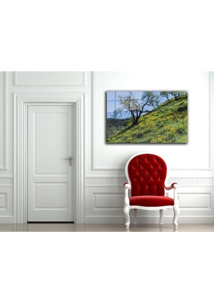 Doğa Temperli Cam Tablo fiyatları