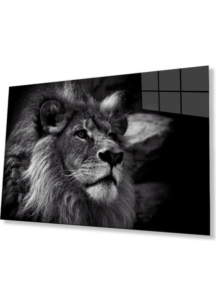 Aslan Cam Tablo 4mm Dayanıklı Temperli Cam