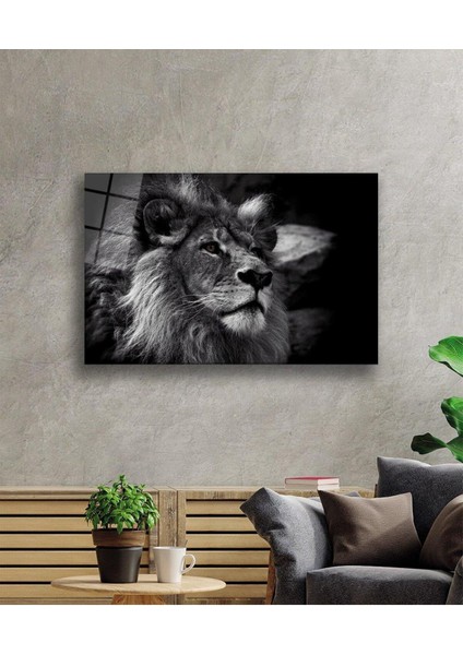 Aslan Cam Tablo 4mm Dayanıklı Temperli Cam fiyatları