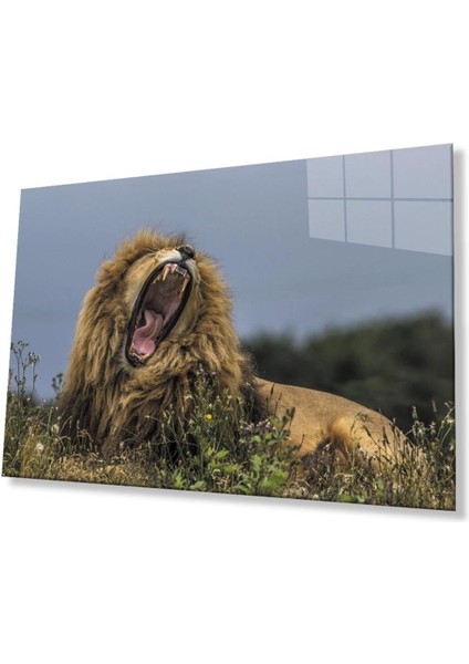 Aslan Cam Tablo 4mm Dayanıklı Temperli Cam