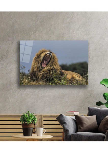 Aslan Cam Tablo 4mm Dayanıklı Temperli Cam fiyatları
