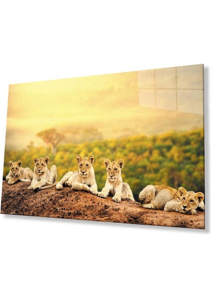 Aslan Cam Tablo 4mm Dayanıklı Temperli Cam