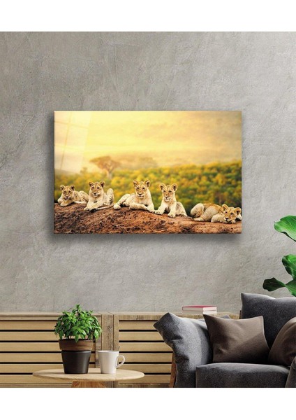 Aslan Cam Tablo 4mm Dayanıklı Temperli Cam fiyatları