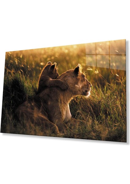 Aslan Cam Tablo 4mm Dayanıklı Temperli Cam