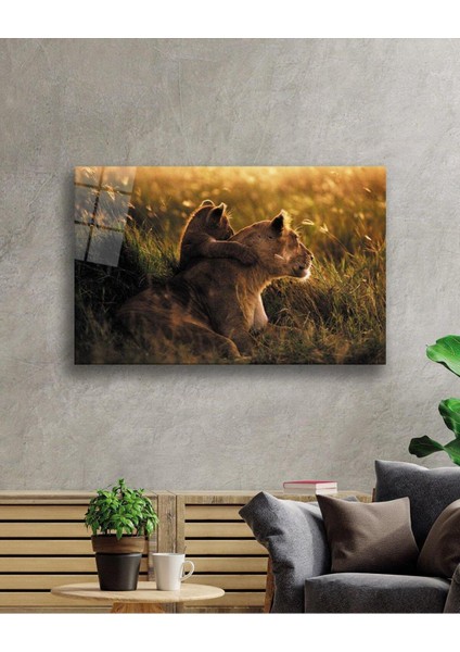 Aslan Cam Tablo 4mm Dayanıklı Temperli Cam fiyatları