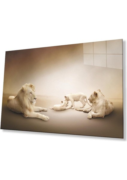 Aslan Cam Tablo 4mm Dayanıklı Temperli Cam