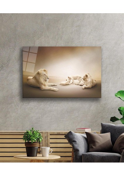 Aslan Cam Tablo 4mm Dayanıklı Temperli Cam fiyatları