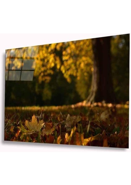 Sonbahar Cam Tablo 4mm Dayanıklı Temperli Cam
