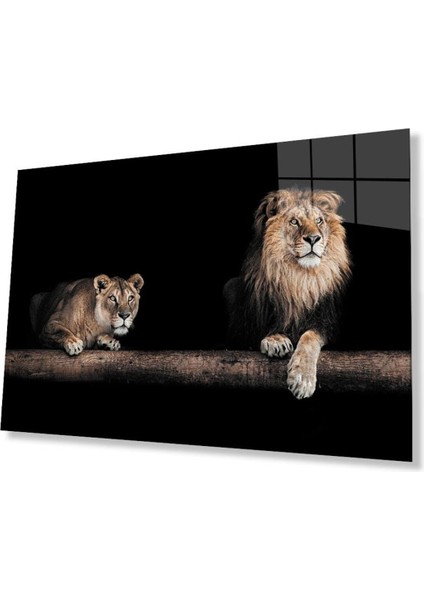 Aslan Cam Tablo 4mm Dayanıklı Temperli Cam