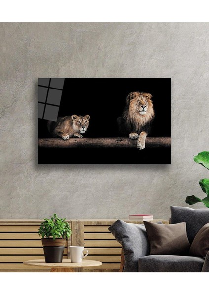 Aslan Cam Tablo 4mm Dayanıklı Temperli Cam fiyatları