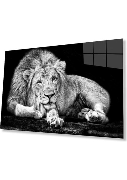 Aslan Cam Tablo 4mm Dayanıklı Temperli Cam