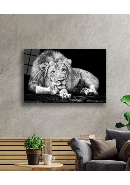 Aslan Cam Tablo 4mm Dayanıklı Temperli Cam fiyatları