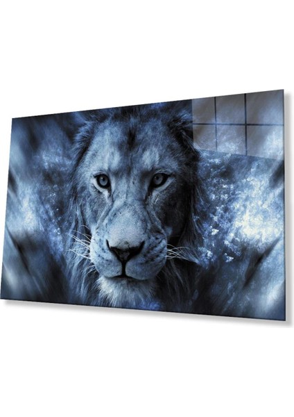 Aslan Cam Tablo 4mm Dayanıklı Temperli Cam