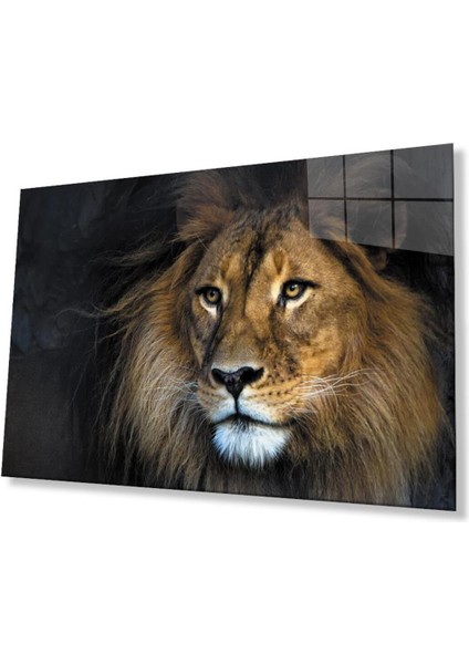 Aslan Cam Tablo 4mm Dayanıklı Temperli Cam