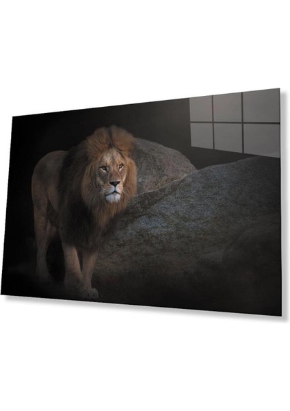 Aslan Cam Tablo 4mm Dayanıklı Temperli Cam