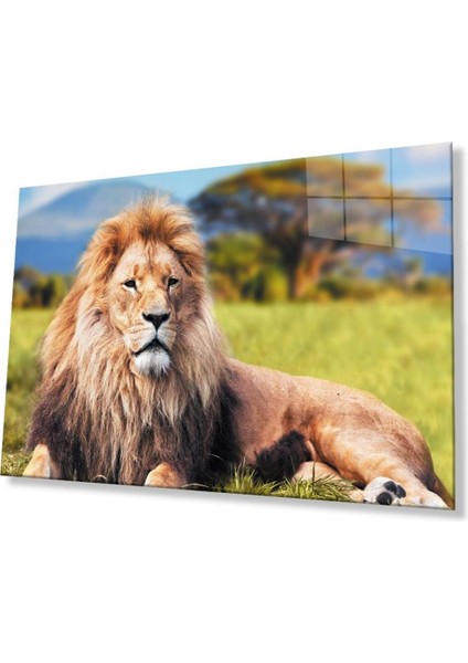 Aslan Cam Tablo 4mm Dayanıklı Temperli Cam