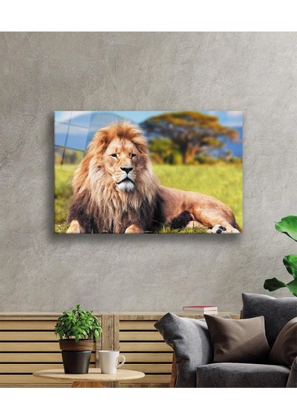 Aslan Cam Tablo 4mm Dayanıklı Temperli Cam fiyatları