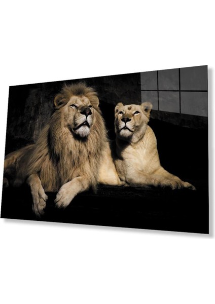 Aslan Cam Tablo 4mm Dayanıklı Temperli Cam