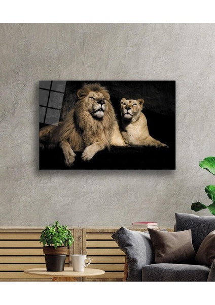 Aslan Cam Tablo 4mm Dayanıklı Temperli Cam fiyatları