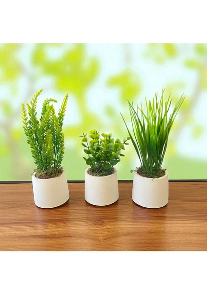 El Yapımı Mini Beton Saksıda 3'lü Yapay Çiçek Aranjman Anneler Günü Sevgililer Günü Hediyelik Eşya