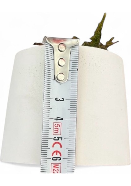 El Yapımı Mini Beton Saksıda 3'lü Yapay Çiçek Aranjman Anneler Günü Sevgililer Günü Hediyelik Eşya indirimleri