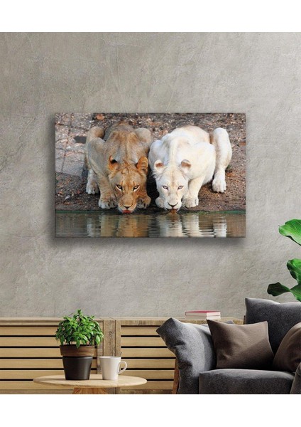 Aslan Cam Tablo 4mm Dayanıklı Temperli Cam fiyatları