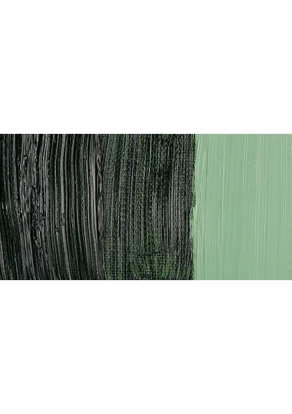 Classico 60ML Yağlı Boya 358 Sap Green