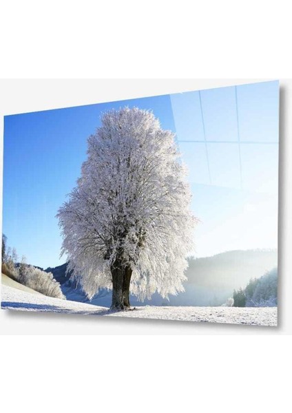 Doğa Cam Tablo 4mm Dayanıklı Temperli Cam